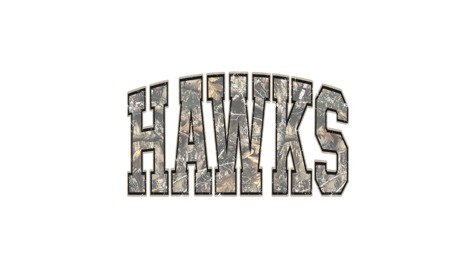 Camo Hawks